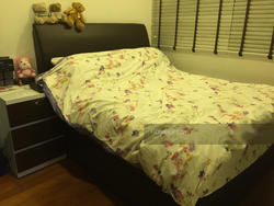 38 I Suites (D15), Apartment #133917602